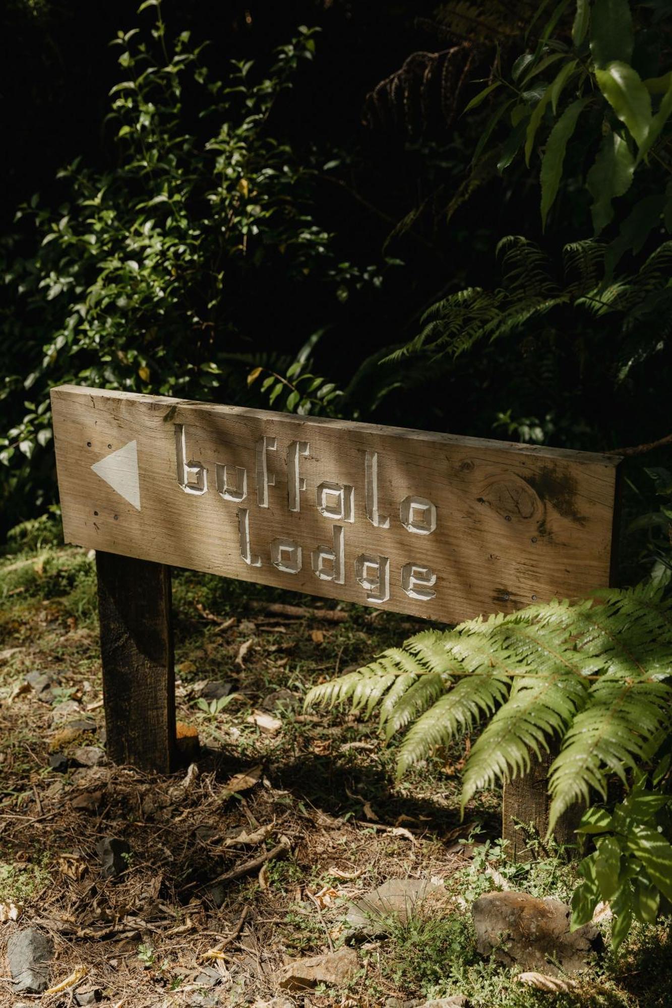 Buffalo Lodge Coromandel エクステリア 写真