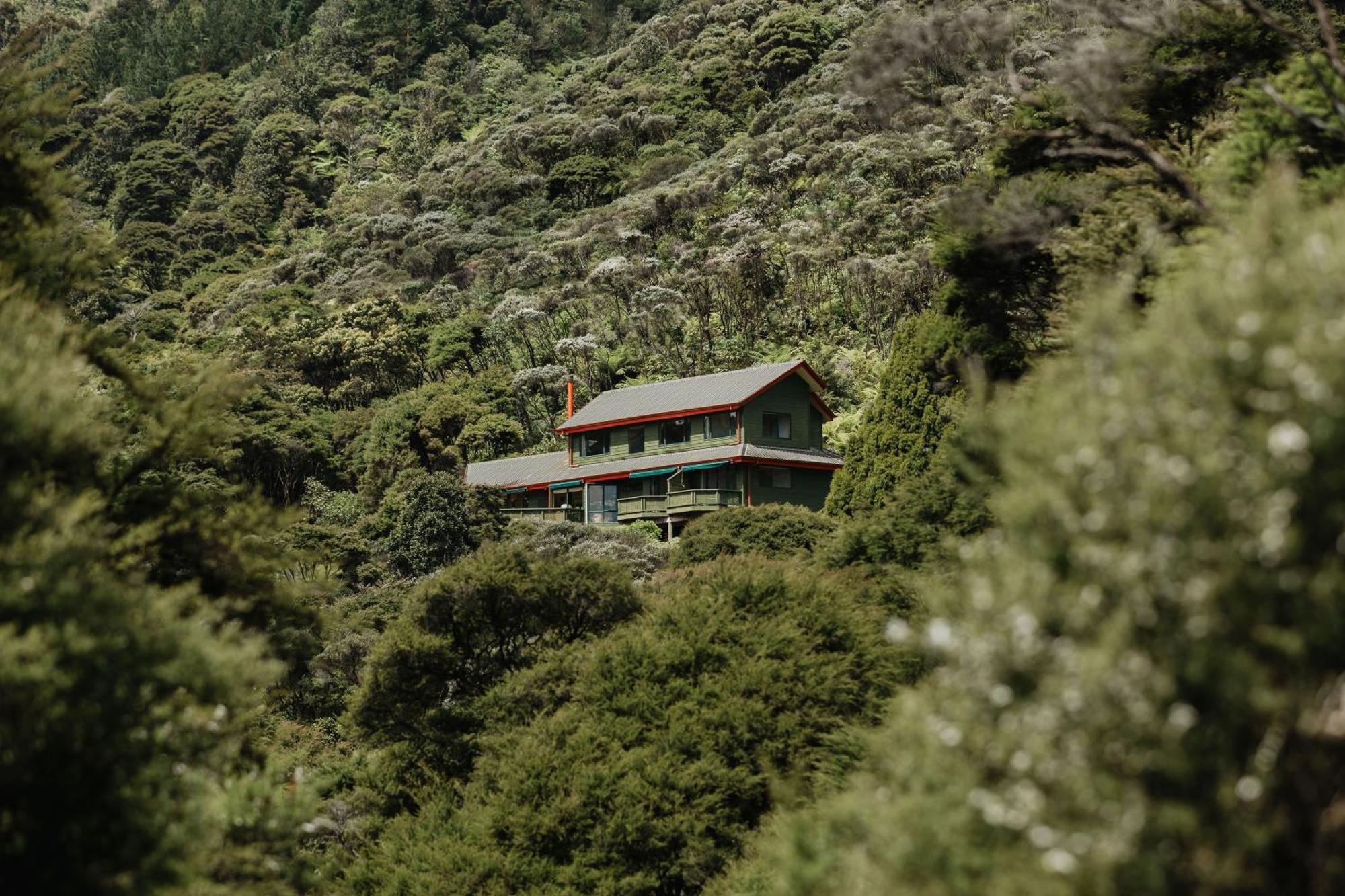 Buffalo Lodge Coromandel エクステリア 写真